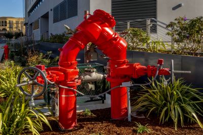 Regulatory Deadlines